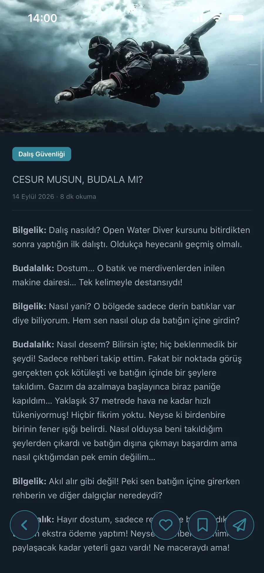 An article in the Dipnot app